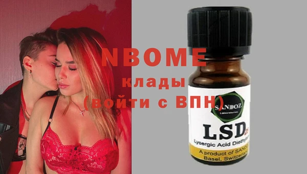 бошки Бородино