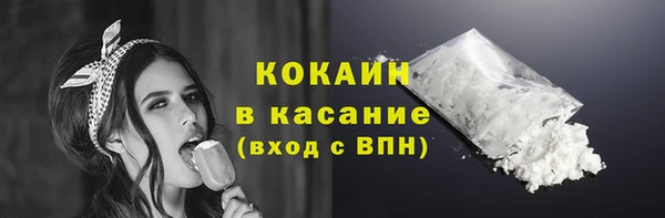бошки Бородино