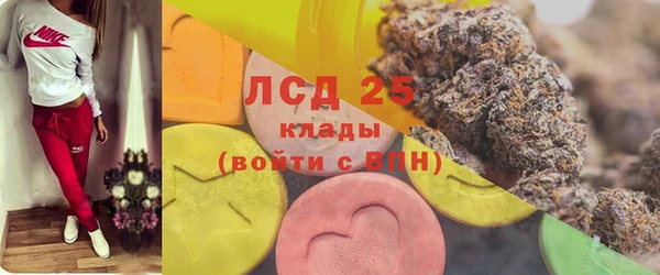 бошки Бородино